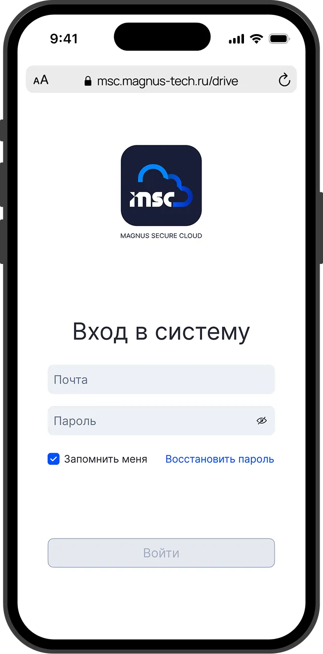 Интерфейс веб-версии приложения Magnus Secure Cloud